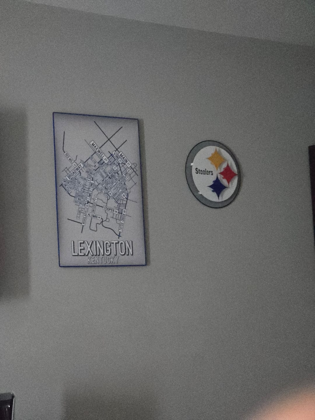 Customer photo review of Pittsburgh Steelers "Steelmark" 3D Vintage Metal Wall Art