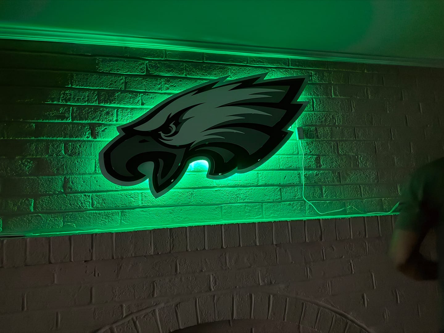 Customer photo review of Philadelphia Eagles Mascot 3D Vintage Metal Wall Art