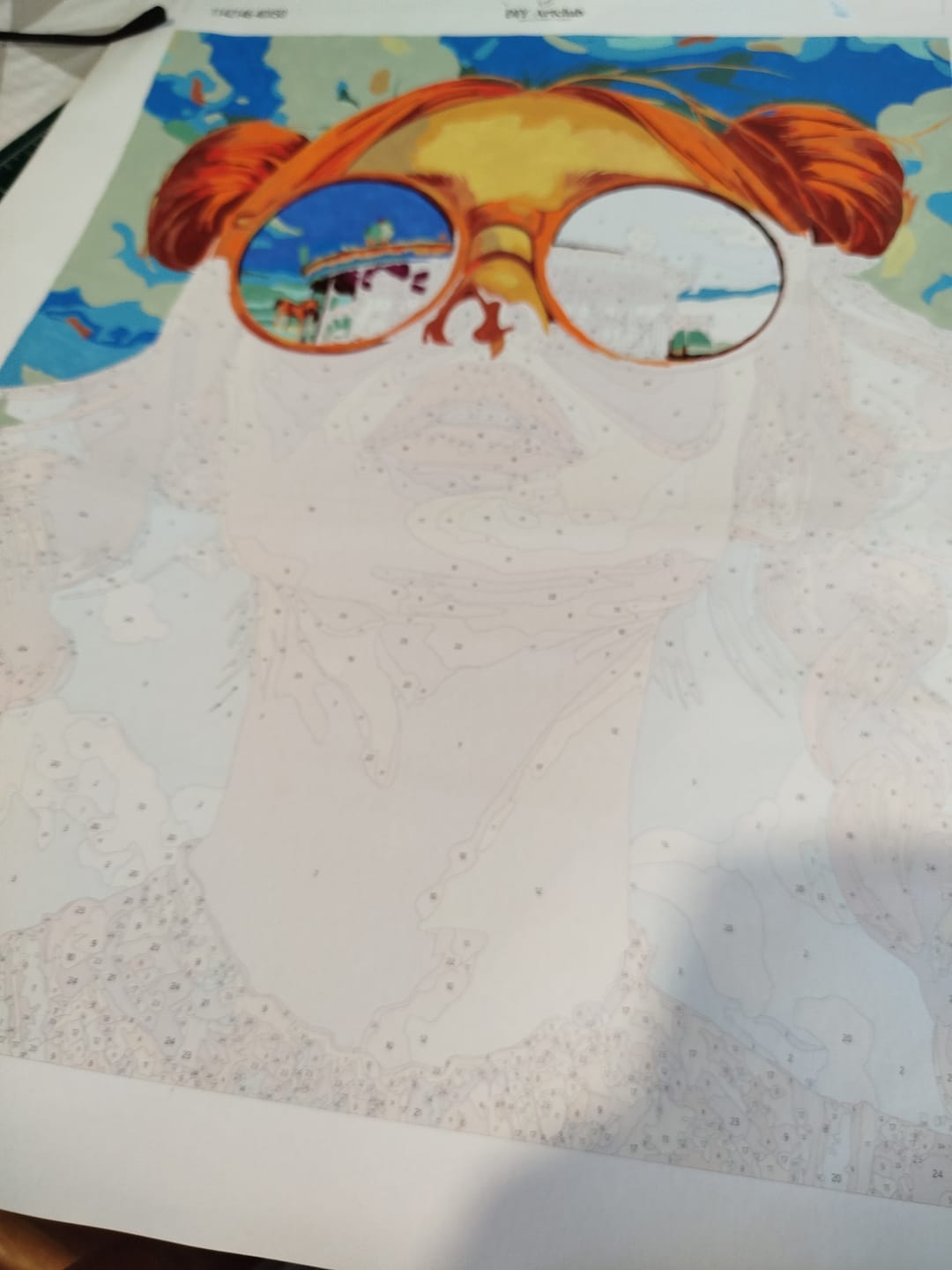Customer photo review of Ginger carousel | Paint by Number