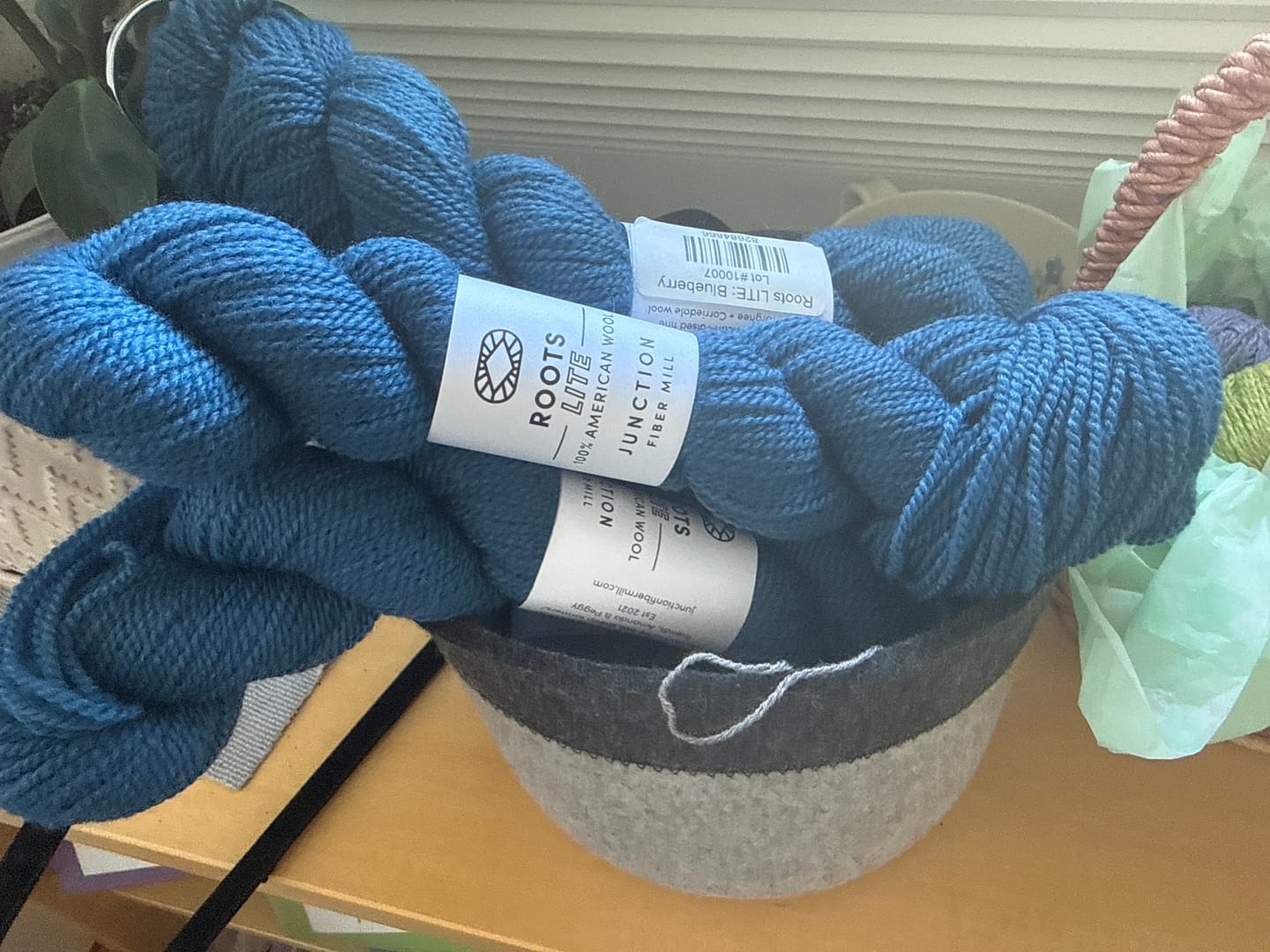 Customer photo review of Roots Lite: Blueberry