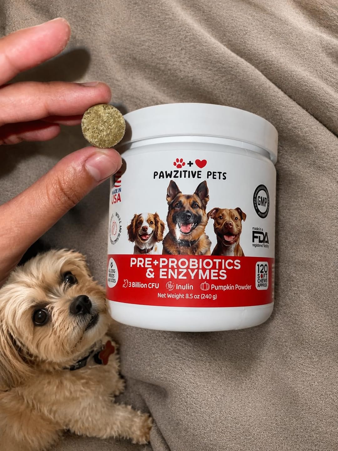 Customer photo review of Pre+Probiotics for Dogs Digestive Health – 120 Soft Chews (Beef Flavor)