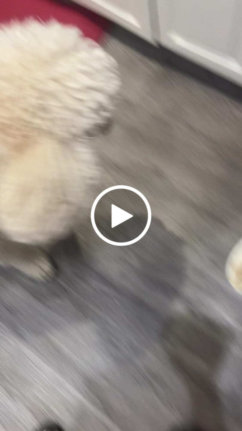 Customer video review of Whole Grain Original Base Mix