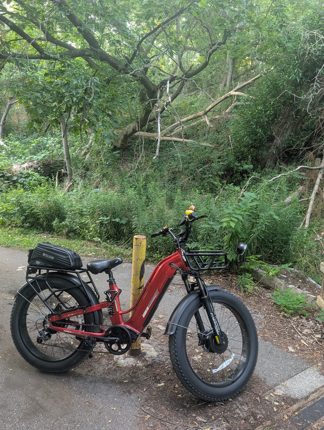 Customer photo review of Front Basket