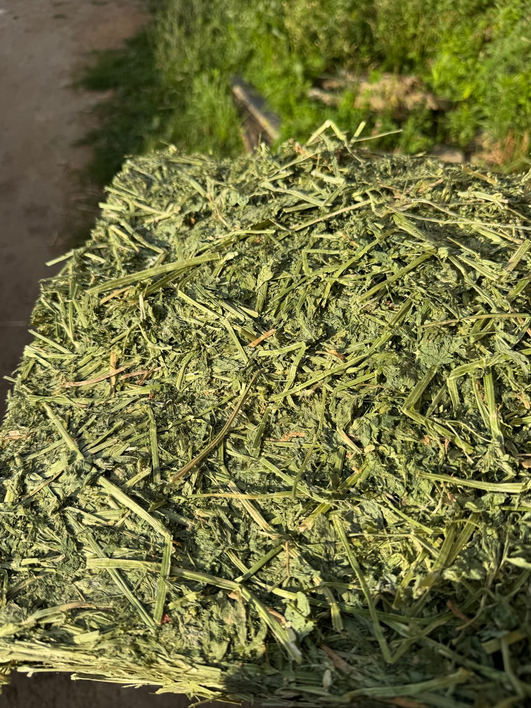 Customer photo review of Western Steamed Alfalfa (Click here for Qty Discount) - 18 Bale Bundle! Includes delivery and ground level stacking with our forklift too!