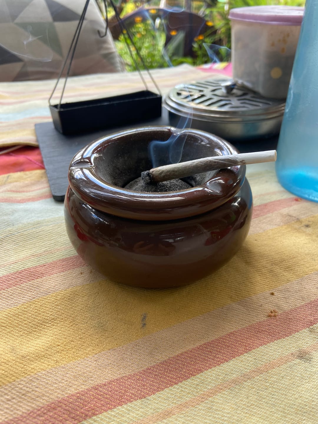 Customer photo review of Cali Express (Premium) - <15% CBD - 1# Cup Winner