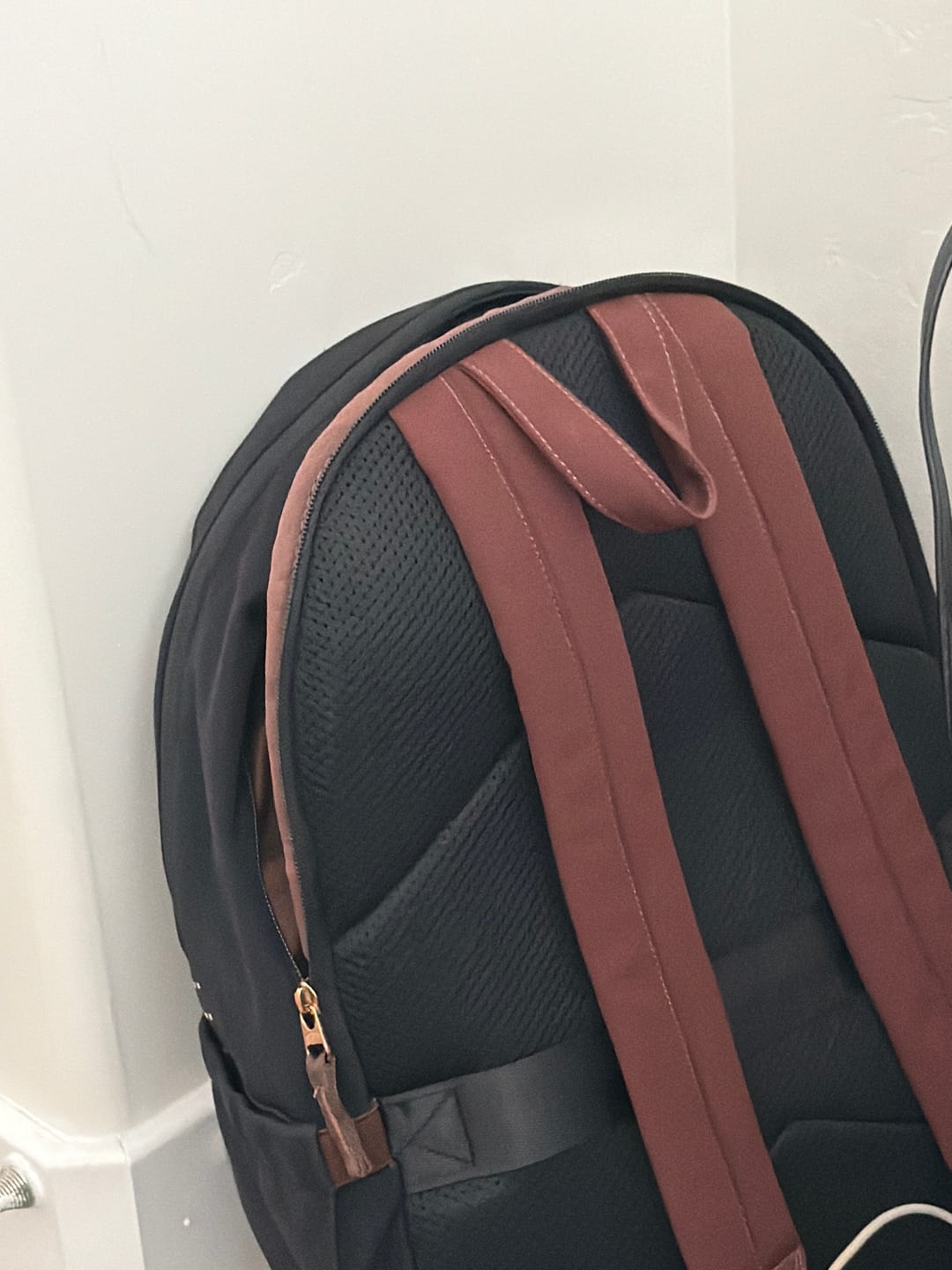 Customer photo review of The Daily Backpack Black/Brown