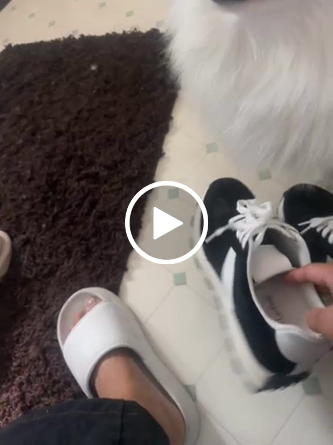 Customer video review of Sentry - 9cm (3.5")