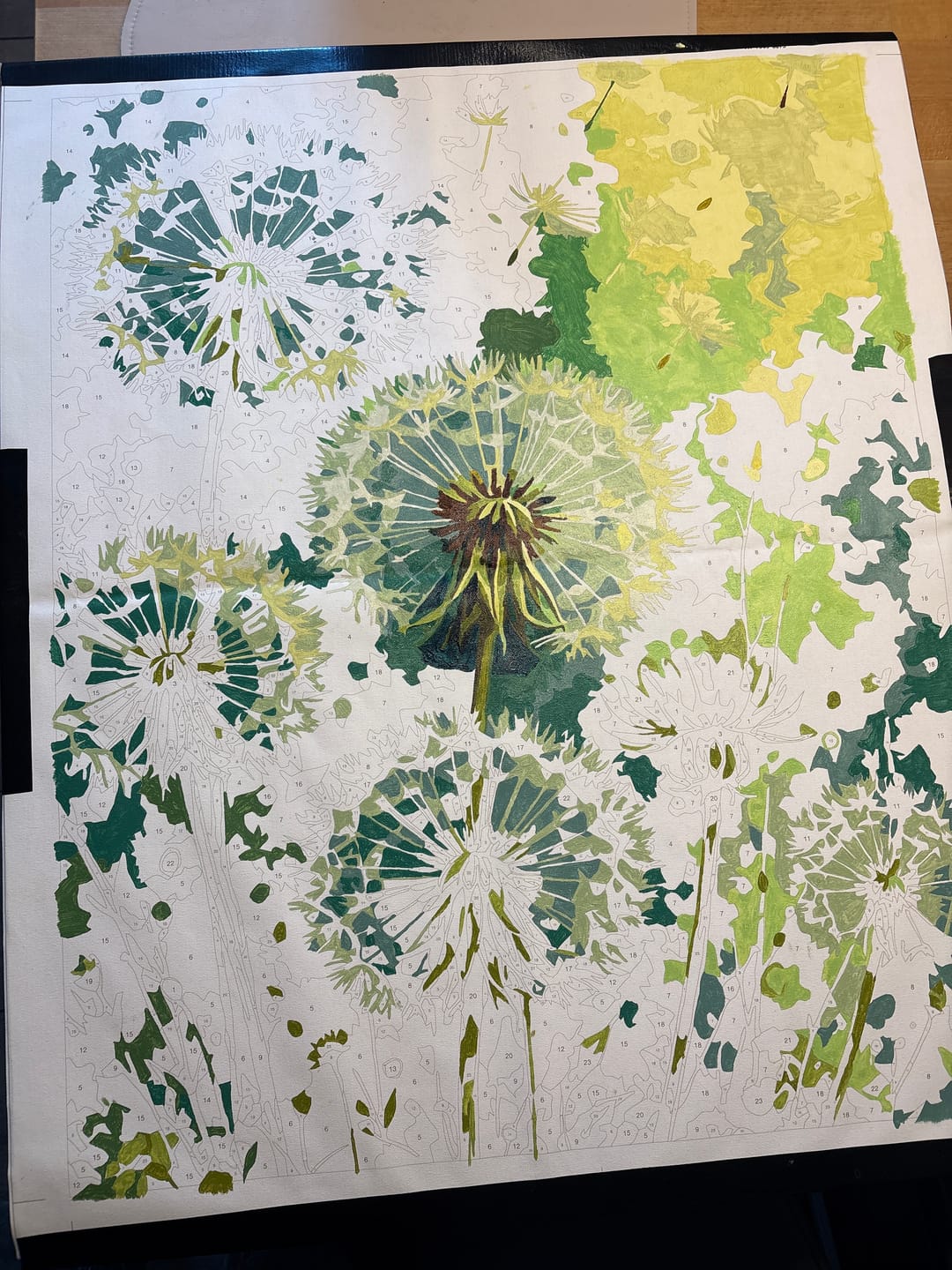 Customer photo review of Malen nach Zahlen - Pusteblumen in grün