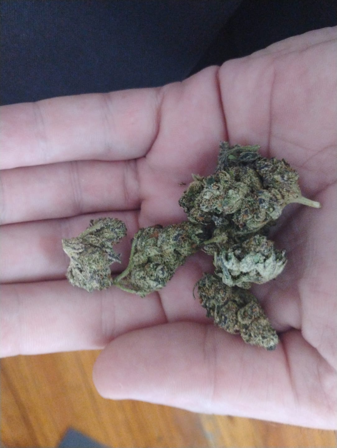 Customer photo review of Icy Pop - Bulk - Hybrid