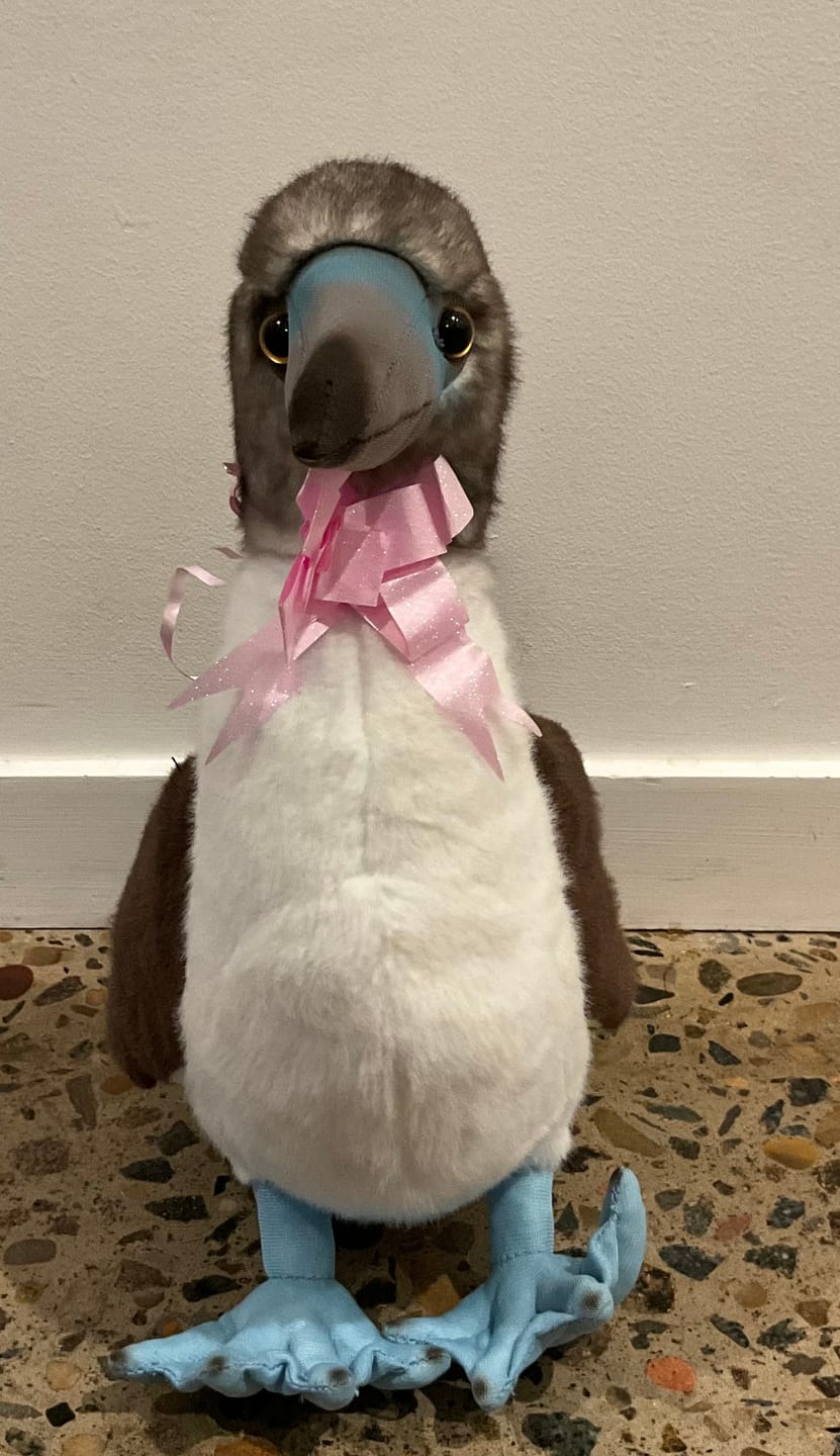 Customer photo review of Realistic Blue-footed Booby Bird Plush Toy – Soft and Lifelike