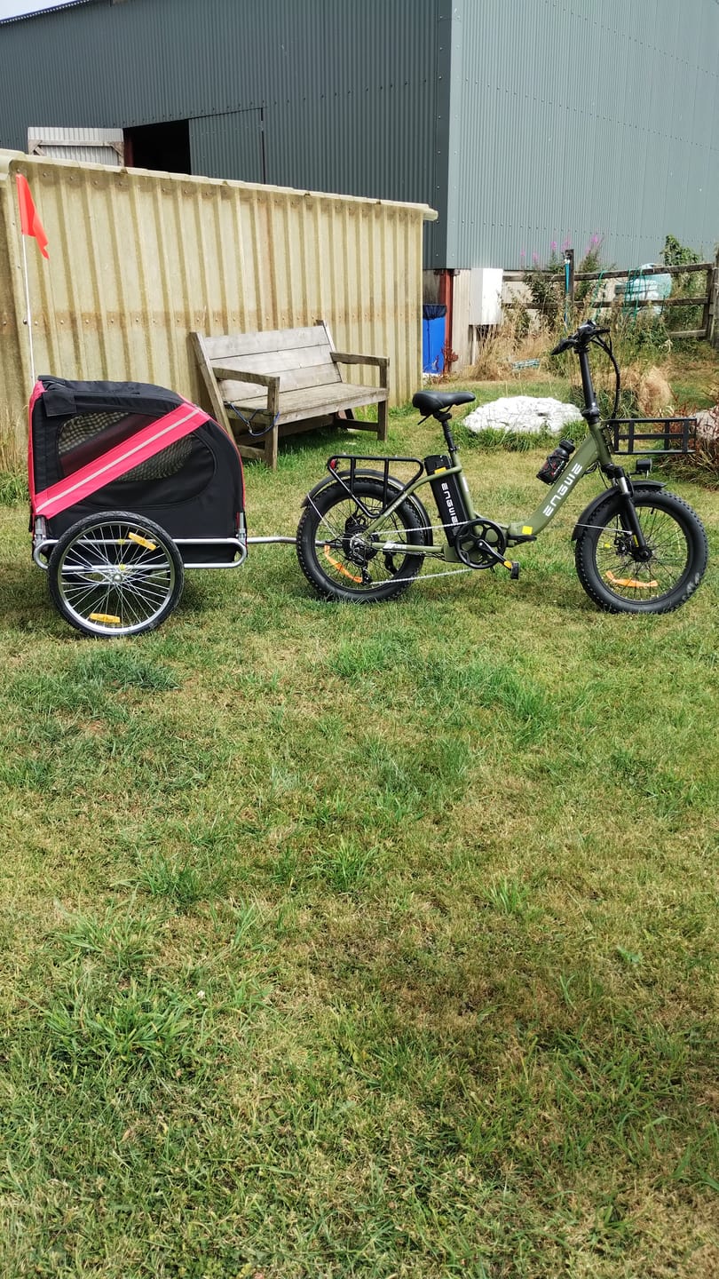 Customer photo review of Engwe L20 SE 250W 20" Foldable Electric Trekking Bike 561Wh Step-through E-bike