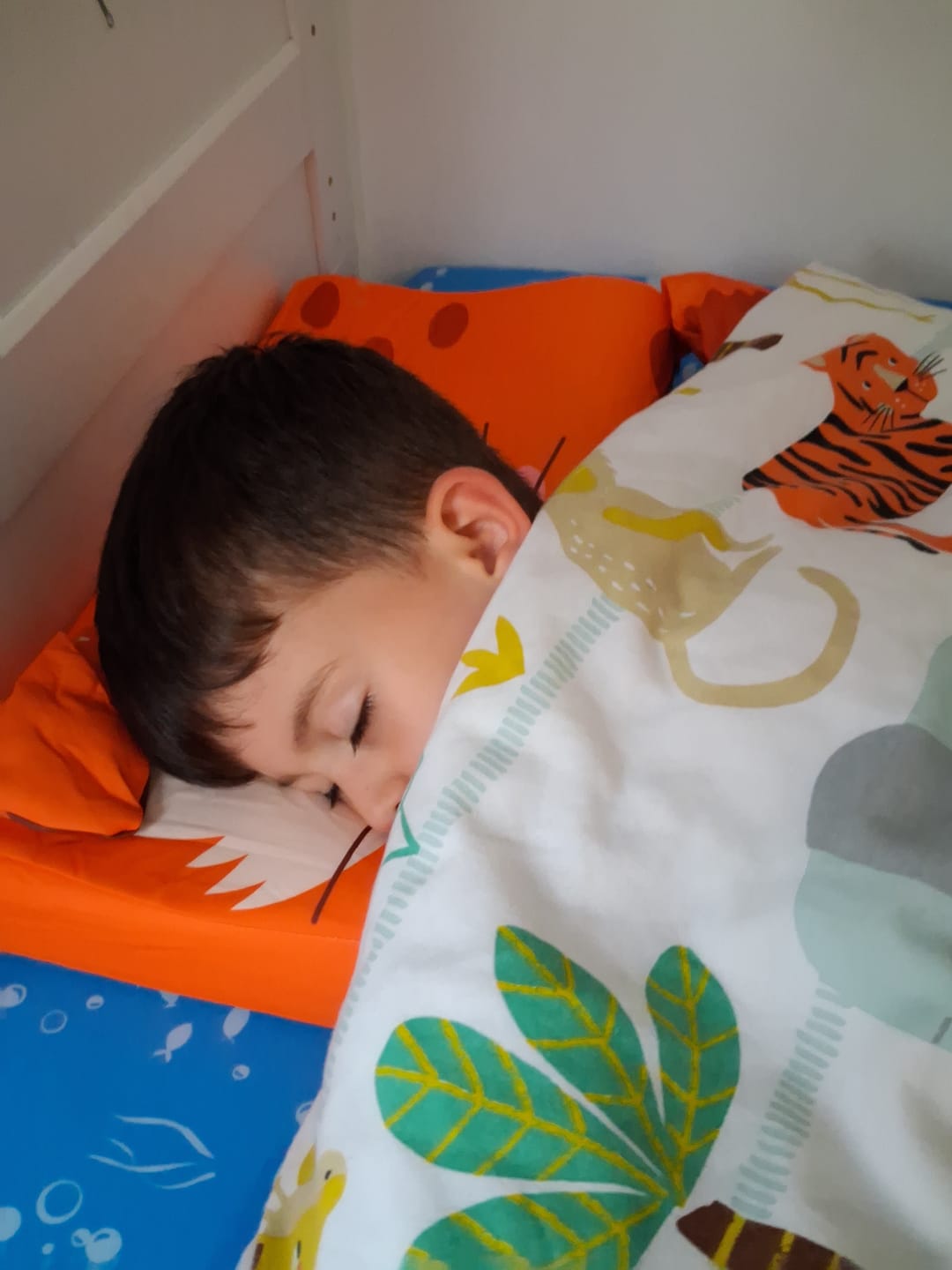 Customer photo review of TinyWonder™ - Snuggle Buddy.