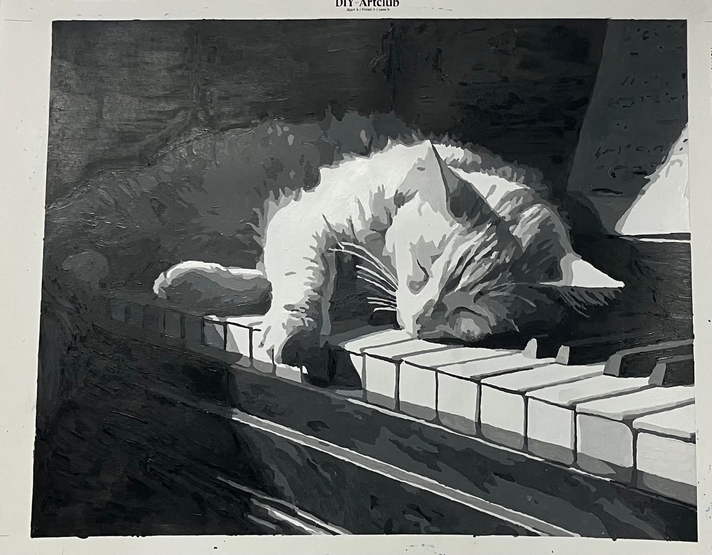 Customer photo review of Cat on the piano | Paint by Number