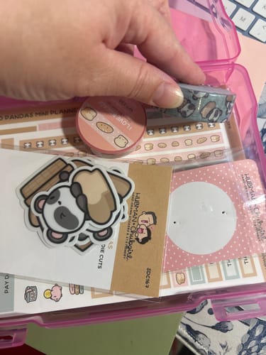 Reviewer's hand holding a panda-themed washi tape over a storage container filled with Bread Pandas stationery items.