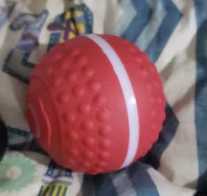 Customer photo review of Boingo Ball