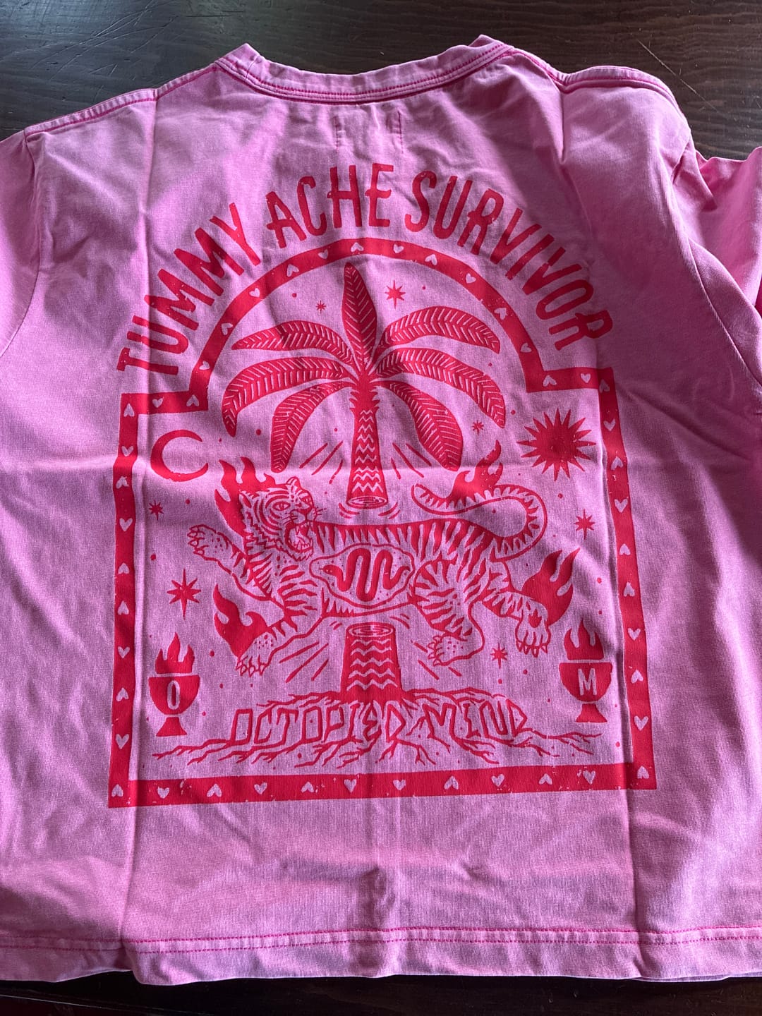 Customer photo review of Tummy Ache Survivor T-Shirt
