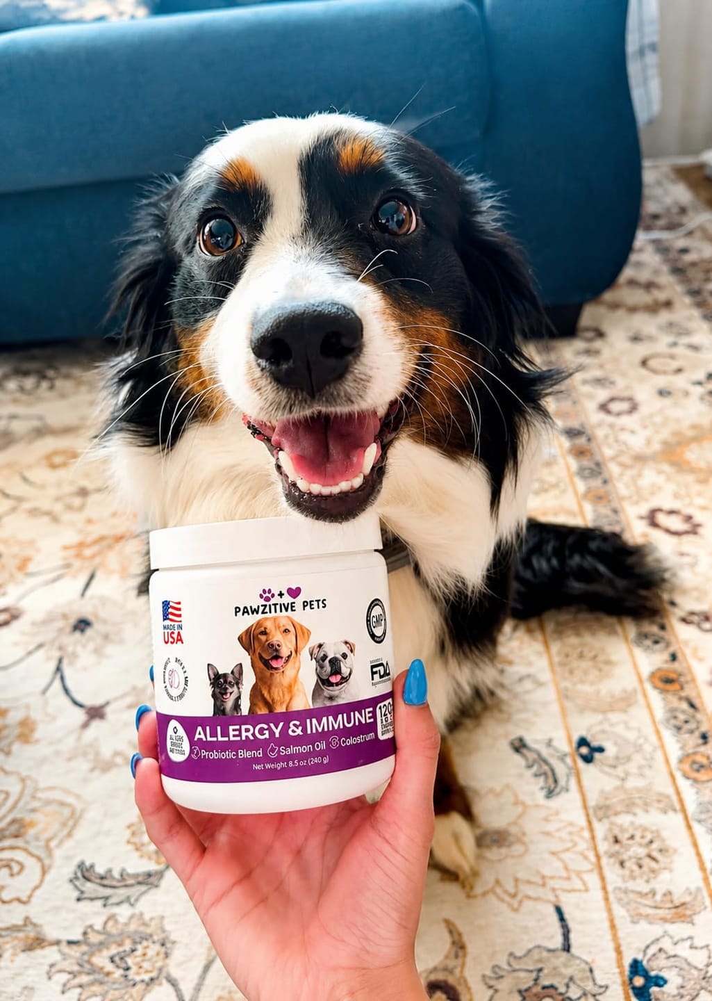 Customer photo review of Dog Allergy Chews for Itchy Skin, Paw Licking & Seasonal Allergies – Immune Support, 120 Soft Chews (Beef Flavor)