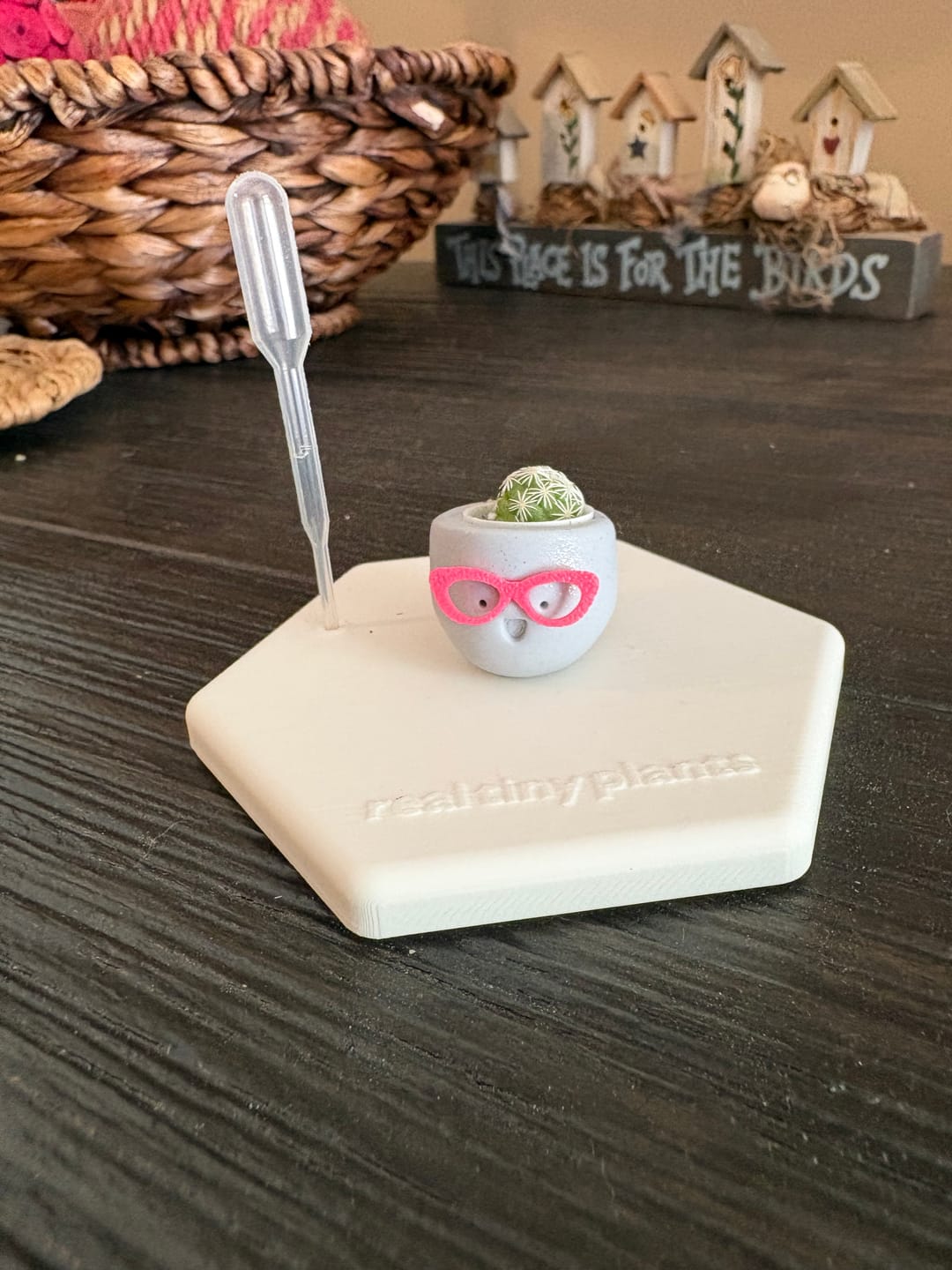 Customer photo review of Sassy Silver