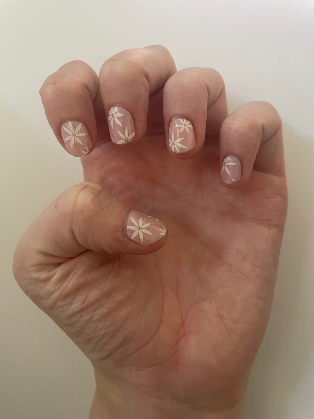Customer photo review of Pretty Pink Daisies DIY Semicured Gel Nail Sticker Kit