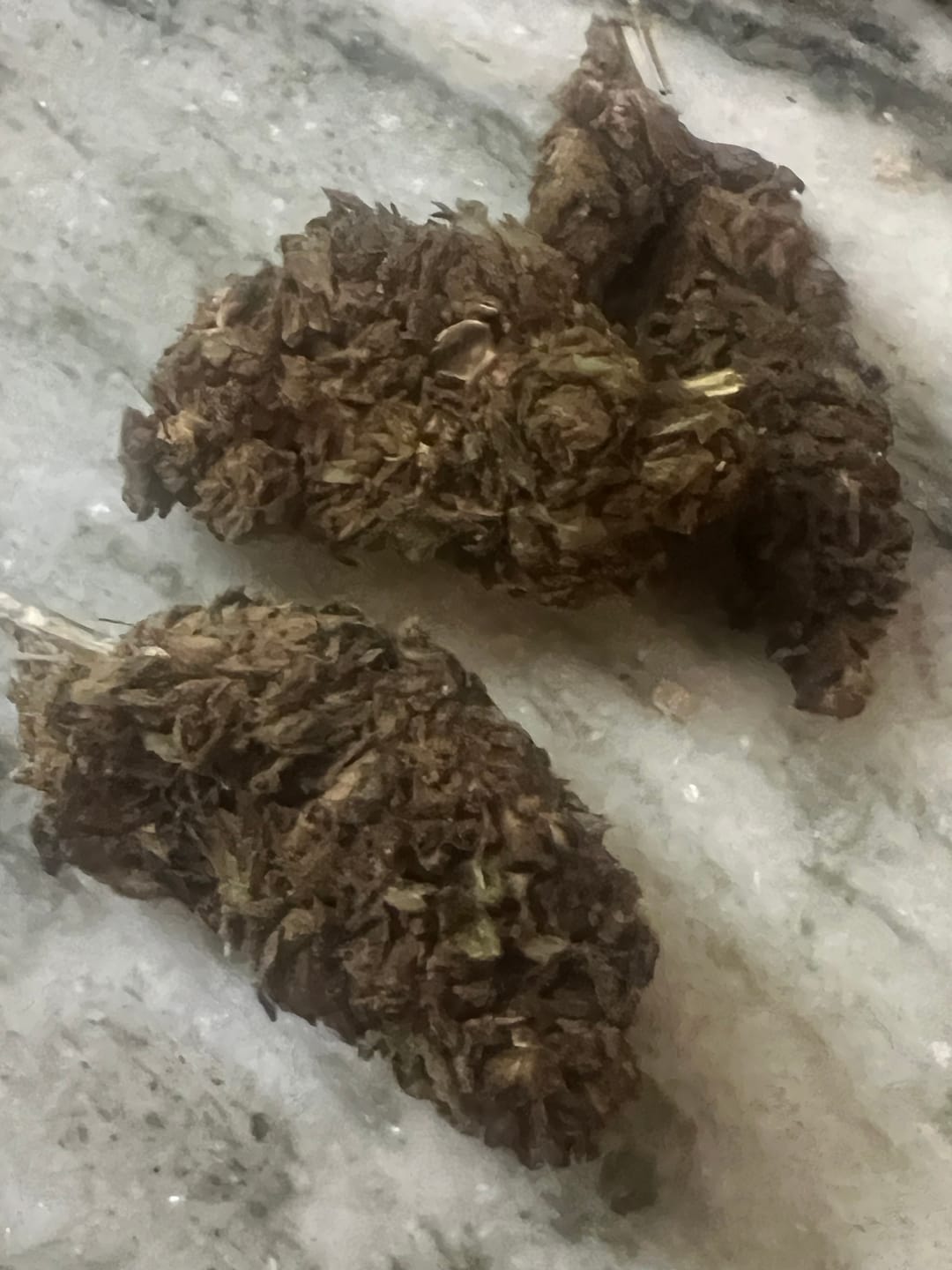 Customer photo review of Hashburger - 28 Grams - Indica