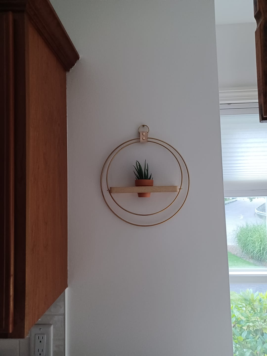 Customer photo review of Air Plant Shelf + Pot
