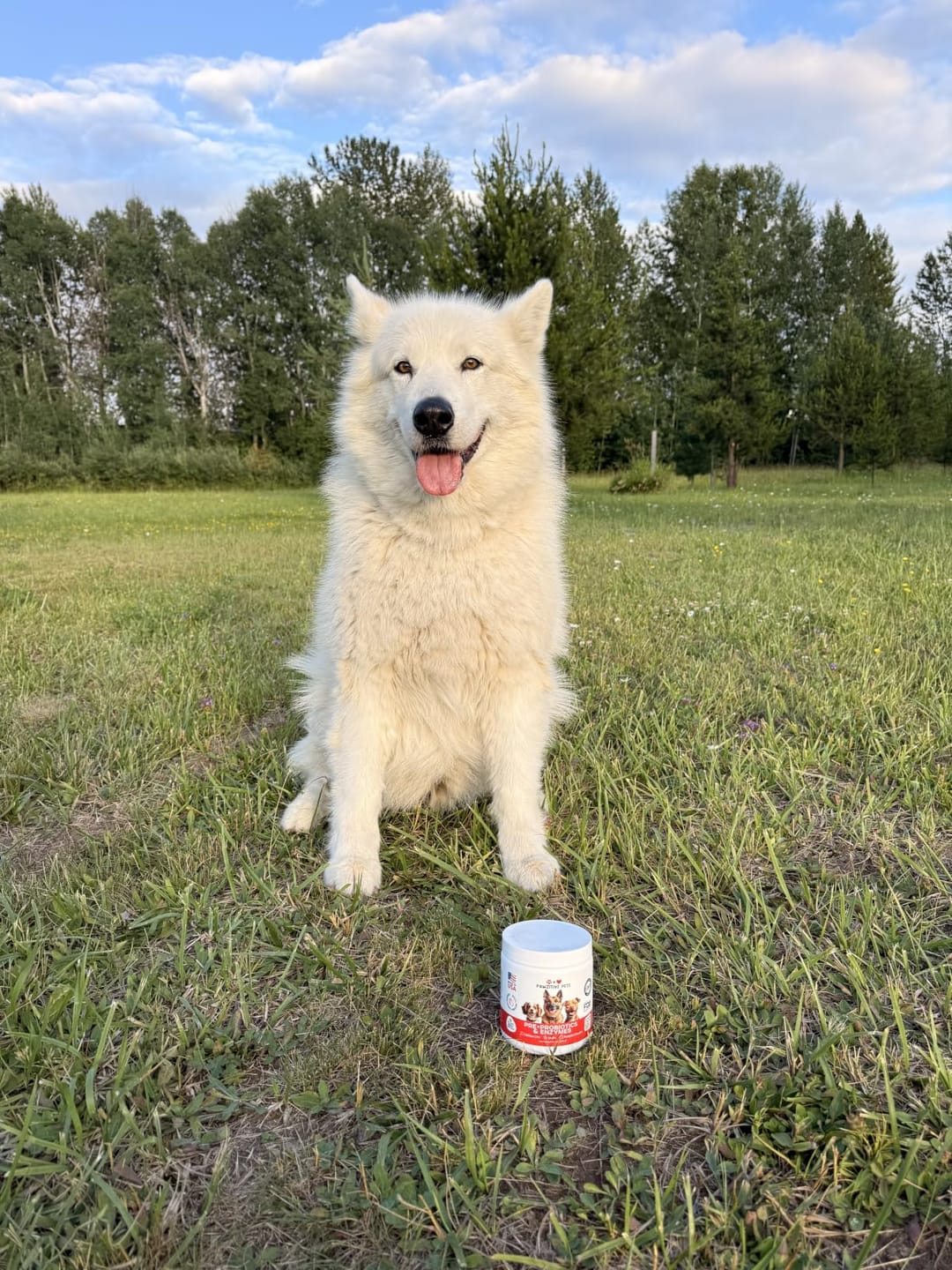 Customer photo review of Pre+Probiotics for Dogs Digestive Health – 120 Soft Chews (Beef Flavor)