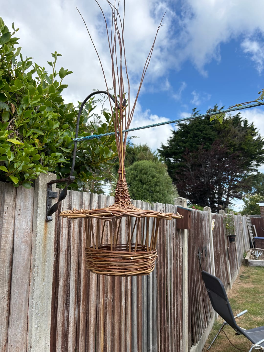 Customer photo review of The Willow Bird Feeder - Course and Kit