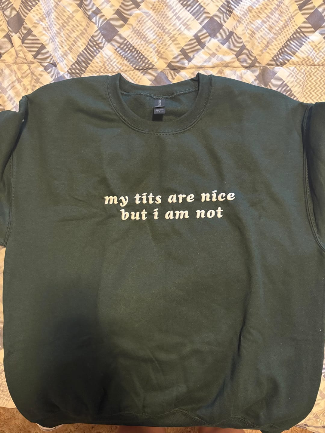 Customer photo review of My Tits Are Nice But I Am Not Emvroidered Unisex Sweatshirt