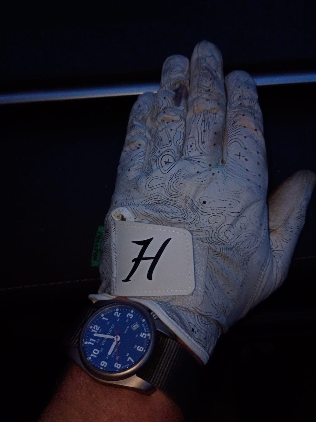 Customer photo review of Links Holen SureGrip Glove