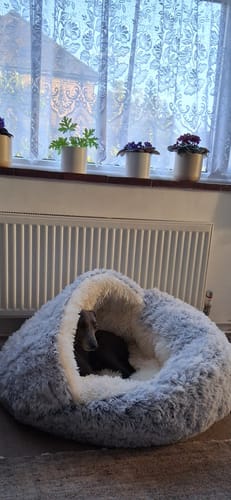 Customer photo review of Super Plush Cove Bed (Large 100x50xm)