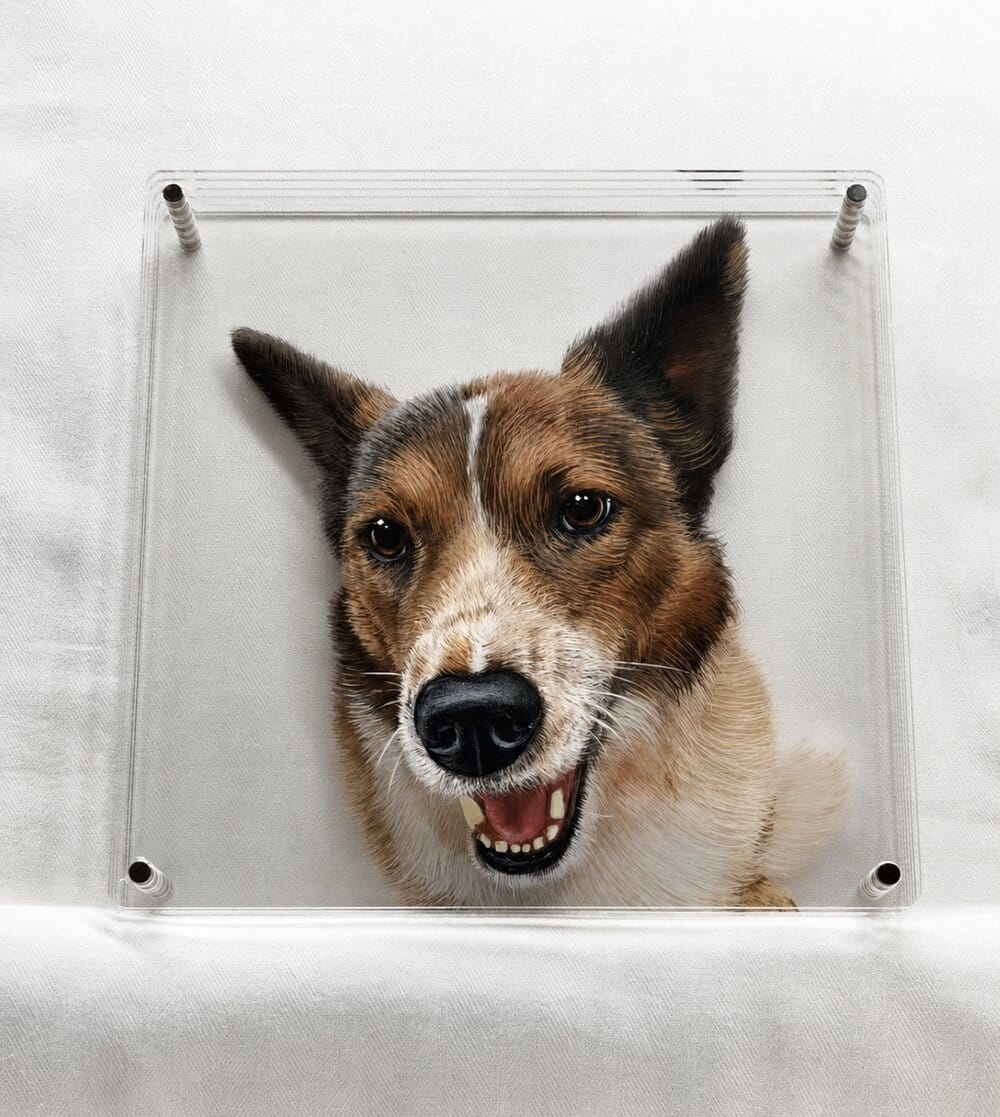 Customer photo review of Multi-layer 3D pet portrait