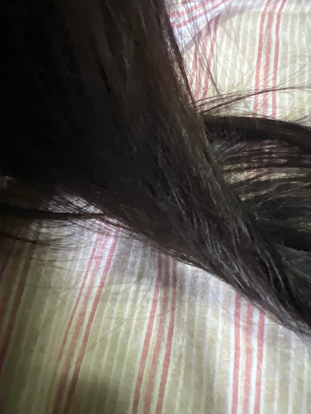 Customer photo review of Acondicionador Delicate Colorcare Elgon