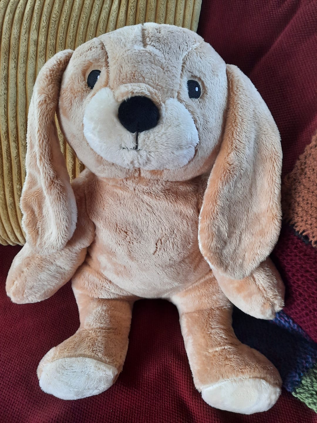 Customer photo review of Lotgenootje Konijn 2kg