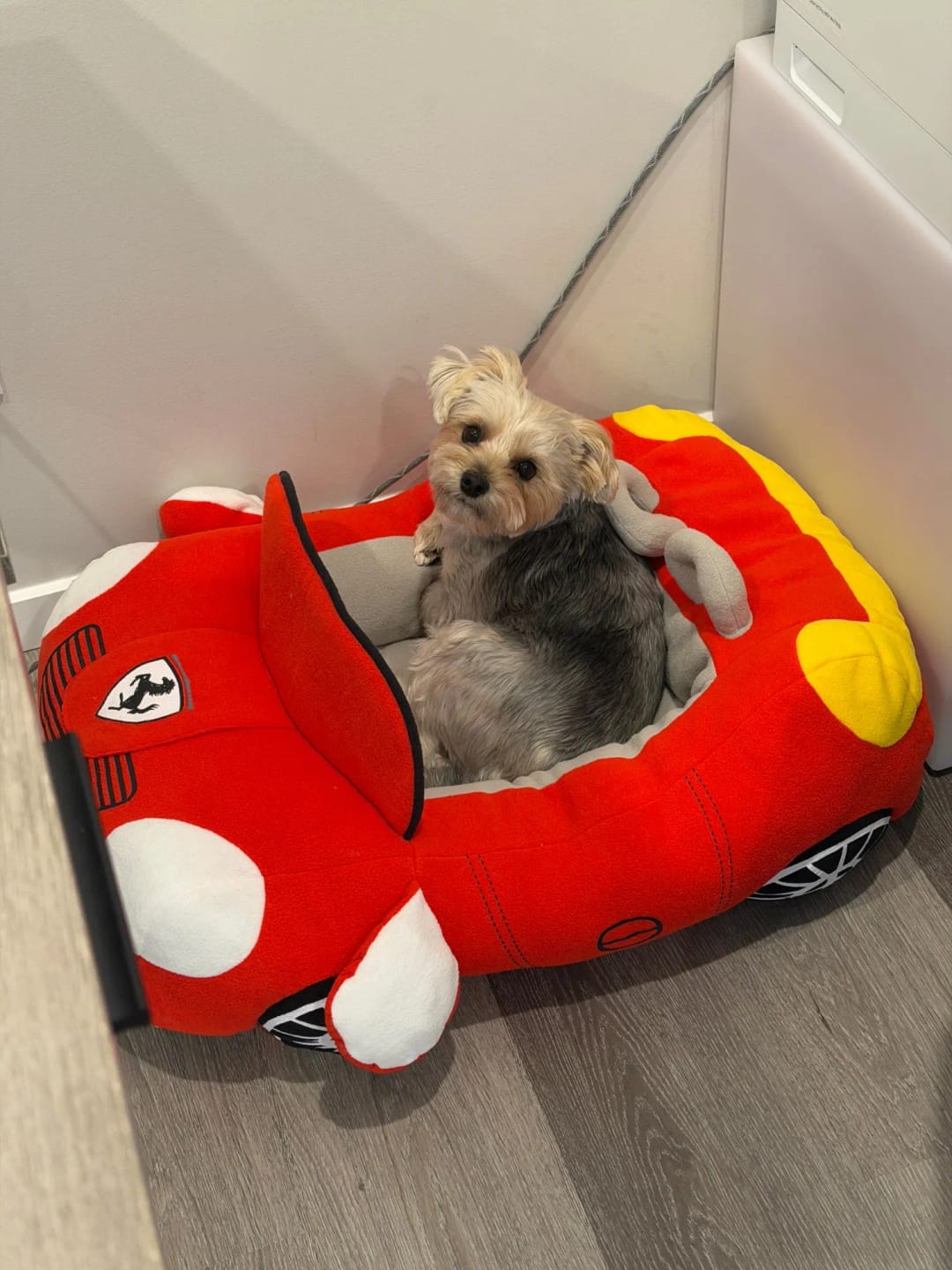Customer photo review of Furcedes Sports Car Bed
