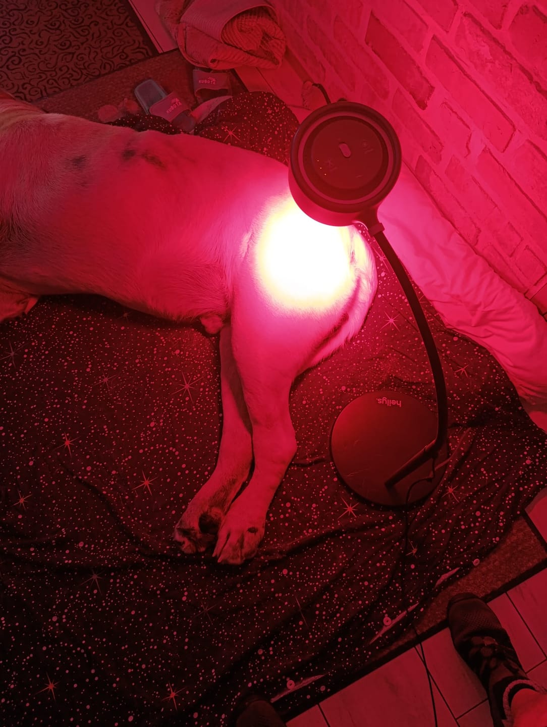 Customer photo review of heilys® Gen30+Vision