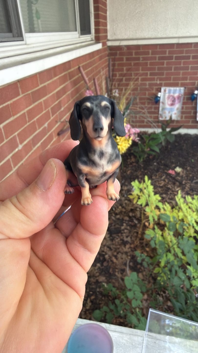 Customer photo review of Custom 3D Action Figure: Personalized 3D Figurine from Photo