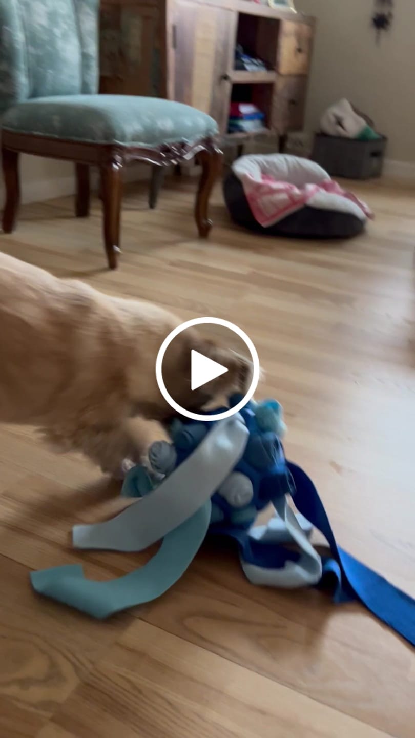 Customer video review of SnufFiesta: Den Ultimative Snusebold