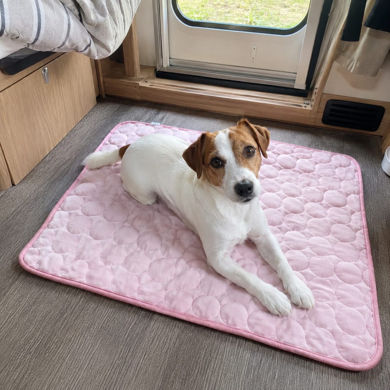 Customer photo review of Freya Cooling Mat