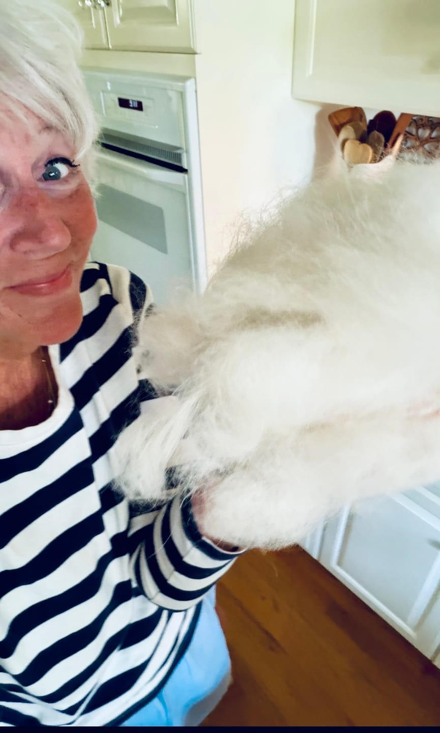 Customer photo review of ULTRA Pet Grooming Vacuum Kit