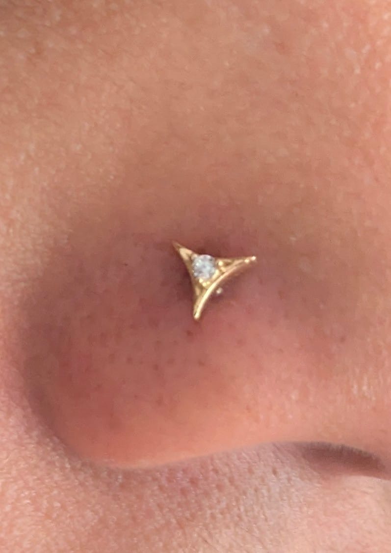 Customer photo review of Elegant Curve Triangle Screw Nose Pin