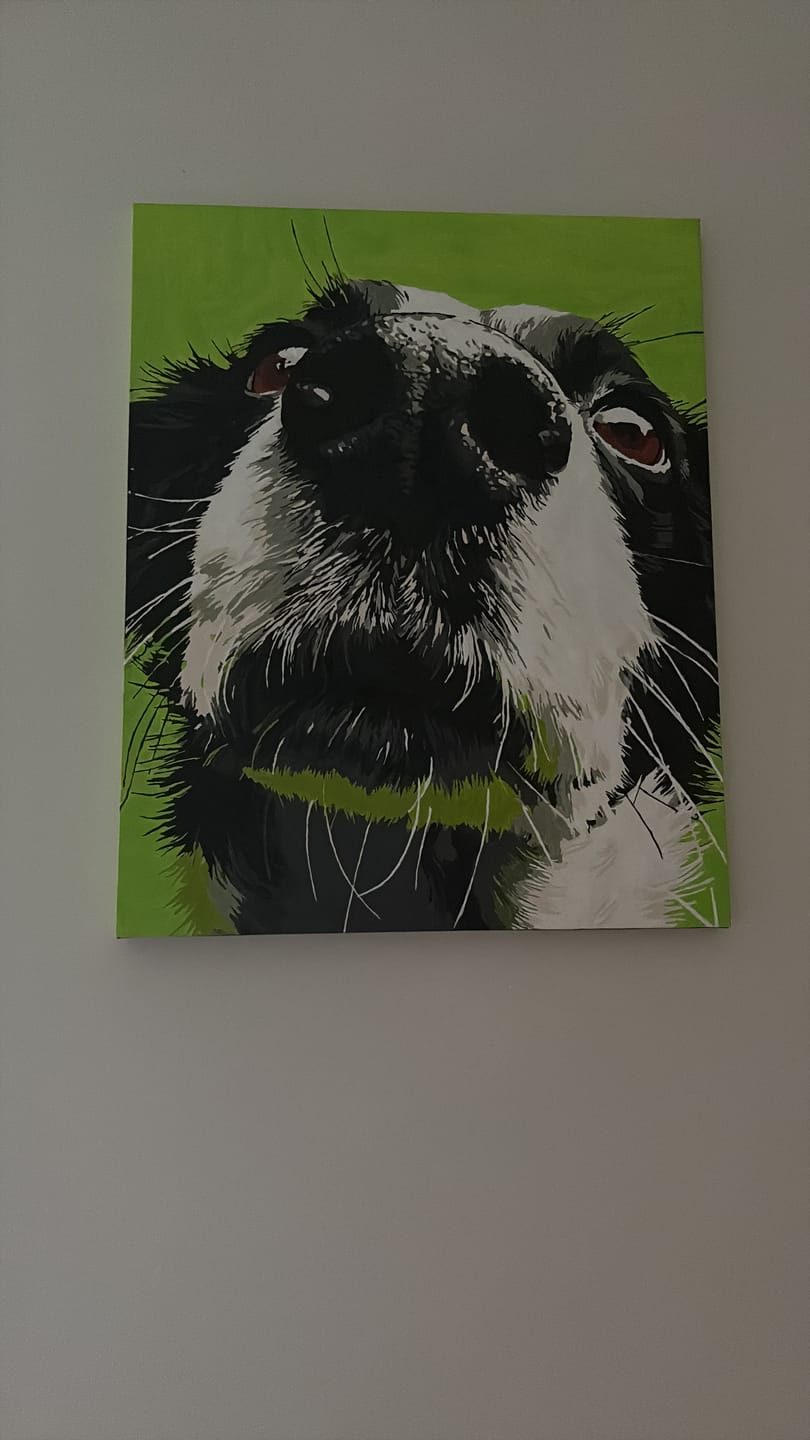 Customer photo review of Sniff Mode | Paint by Number