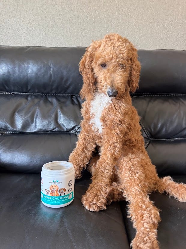 Customer photo review of Hemp Calming Chews for Dogs – 120 Soft Chews