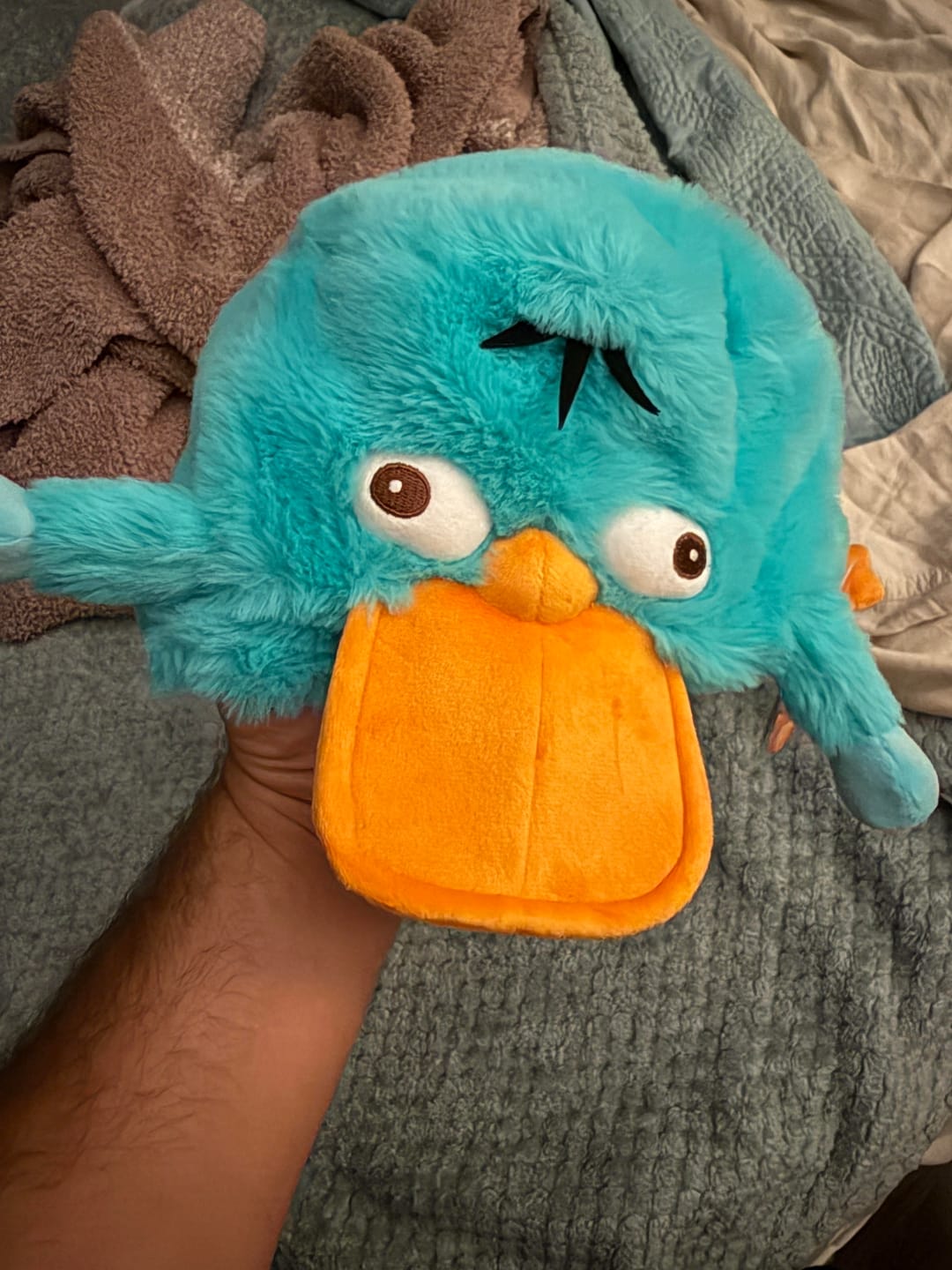 Customer photo review of Disney’s Phineas and Ferb "Perry the Platypus" – Plush Hat