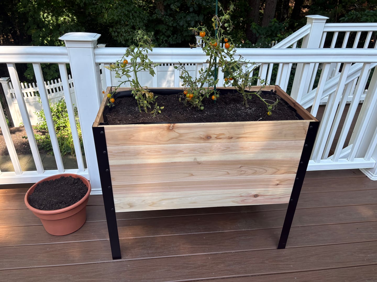 Customer photo review of 18″ x 36″ Deep Root Raised Garden Bed - 30″ TALL / Select Grade