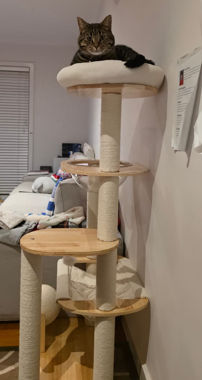 Customer photo review of 5-Tier Wooden Cat Tree with Scratching Posts & Play Features