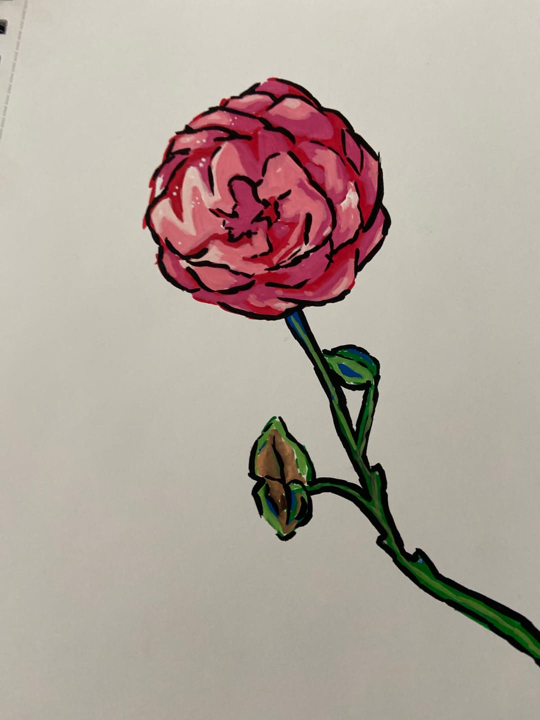 Customer photo review of Ohuhu Nahuku Direct-ink Acrylic Markers