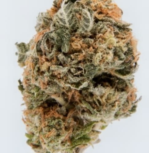 Blueberry Syrup - Bulk - Indica photo review