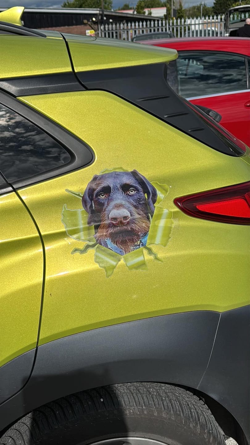 Customer photo review of Personalized Peeking Pets Decal - Gift For Pet Lovers