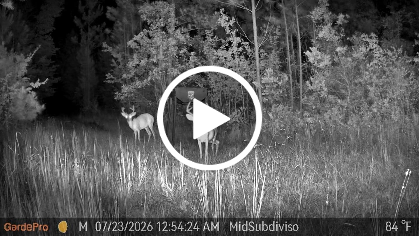 Customer video review of GardePro X66 Pro Max Cellular AI Trail Camera