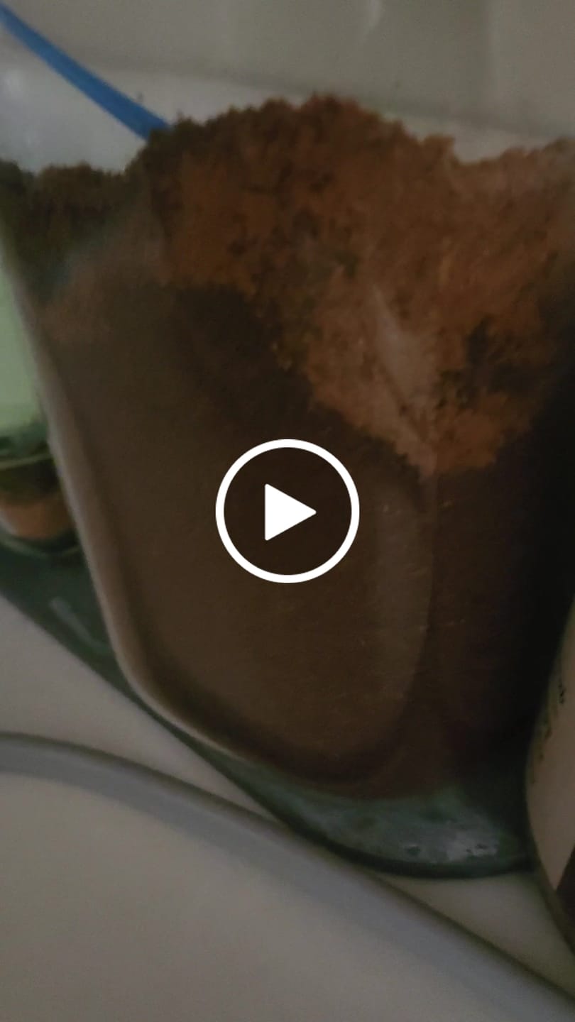 Customer video review of Seek® Organic Mold & Mycotoxin Free Coffee